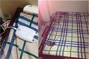 Một thiếu niên bị điện giật tử vong khi sạc điện thoại