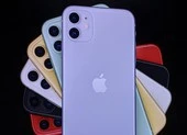 iPhone 11 chính hãng sẽ có giá khoảng 21,9 triệu đồng