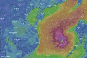 Đường đi của cơn bão số 6 (Nakri) trong vài ngày tới