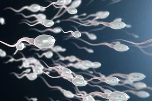 Ăn gì để không làm giảm chất lượng tinh trùng?