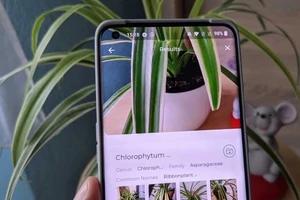 3 ứng dụng không thể thiếu với những người yêu cây cảnh