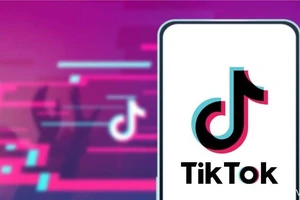 6 xu hướng nổi bật nhất trên TikTok bạn đã biết?