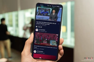 Xem World Cup trực tuyến cẩn thận mất tiền