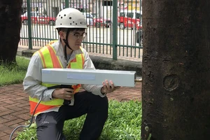 Nước ngoài dùng công nghệ gì để hạn chế gãy đổ cây xanh?