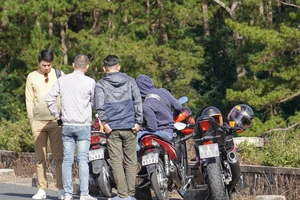 Cách đăng ký biển số định danh online