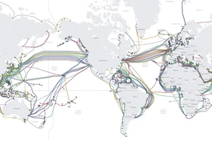 Tận dụng cáp quang biển để cải thiện khả năng phát hiện sóng thần
