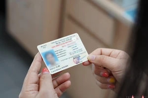 3 cách tra cứu thông tin GPLX có thể bạn chưa biết