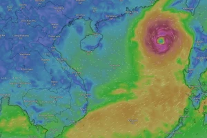 Bão số 3: Cảnh báo khẩn cấp được gửi tới hàng triệu người dân qua Zalo