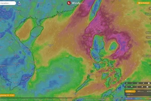 Cách theo dõi đường đi của cơn bão Trami (Trà Mi)