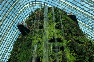 Khi các 'ông lớn' công nghệ chạy đua phát triển xanh