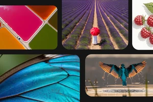 Google ra mắt 4 công cụ AI mới giúp bạn làm phim, tạo nhạc, dựng hình bằng lời nói