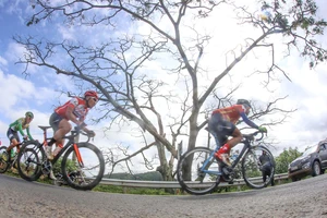 Nửa đội hình bảo vệ áo vàng cho Jiung Jang