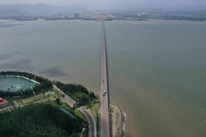 VnExpress tổ chức giải chạy marathon vượt biển