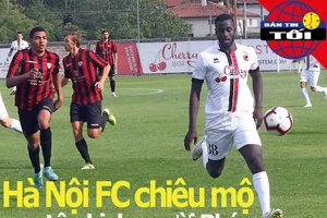 FAT thuyết phục HLV Nishino, Hà Nội FC chiêu mộ tân binh Pháp