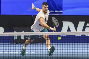 Hàng loạt kỷ lục quần vợt chờ Novak Djokovic chinh phục tại ATP Finals