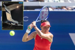 Tay vợt số 4 thế giới dùng chuyên cơ đưa đồng nghiệp bay sang California