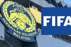 Luật sư chỉ ra những rào cản pháp lý FAM phải đối mặt