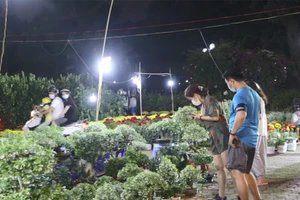 Video: Nhiều loại hoa khoe sắc tại chợ hoa Tết TP.HCM