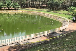 Video: Bé trai 11 tuổi mất tích, tìm thấy thi thể ở hồ nước gần nhà