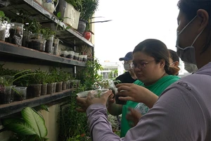 Video: Cuối tuần đi mua cây với giá 0 đồng tại TP.HCM