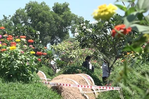 Video: Phát hiện thanh niên tử vong bất thường ở nghĩa trang, trên cổ có vết cắt