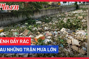 Video: Kênh đầy rác sau những trận mưa lớn