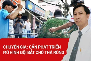 Chuyên gia: Cần phát triển mô hình đội bắt chó thả rông