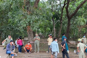 Video: Phát hiện người đàn ông tử vong trong tư thế treo cổ trên đồi