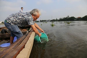 Video: Đưa Ông Táo về trời, nhiều người thả cá phóng sinh cầu bình an
