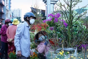 Video: Tham quan Chợ hoa xuân ‘Trên bến dưới thuyền’ ngày khai mạc