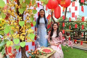 Video: Bệnh viện Chợ Rẫy mang sắc xuân đến cho bệnh nhân