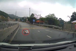 Tài xế 'đứng tim' khi thấy cháu bé bò trên đường