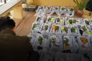 'Biệt đội' tiễn đưa các hài nhi xấu số về nơi an lành