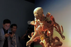 Khám phá 'Sự bí ẩn đặc biệt của cơ thể người'