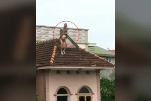 Clip: Cha 'ngáo đá' vứt con 1 tuổi từ tầng 3 xuống đất
