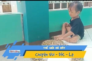 Video: Hoảng hồn bé gái chơi đùa với trăn khổng lồ