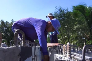 Những lão nông nối nhịp bờ vui