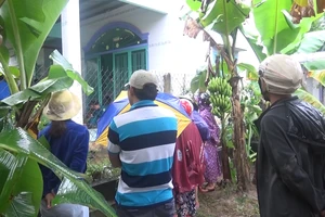 Người dân dầm mưa xem thực nghiệm vụ xác người trong bê tông