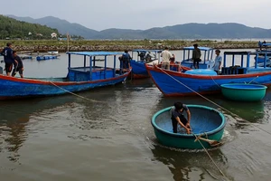 Clip: Cưỡng chế hơn 1.200 người ở vùng dự kiến tâm bão