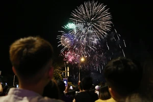 Video: Màn pháo hoa lung linh chào đón năm mới ở TP.HCM