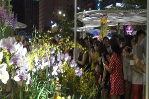 Cận cảnh đông đảo người đến xem đường hoa Canh Tý