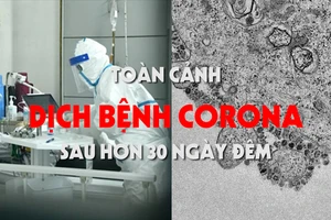 Toàn cảnh dịch bệnh corona sau hơn 30 ngày đêm