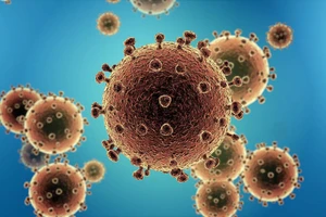 Dịch Corona: Lý do đặt tên virus là COVID-19