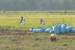 Hiệu quả từ đầu tư các công trình thủy lợi lớn tại Đắk Lắk