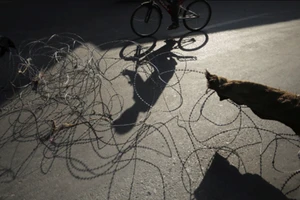 Đạp xe 1.000 km vẫn không cưới được vợ vì COVID-19