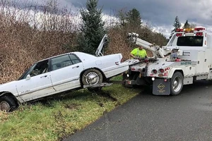 Bị bắt vì dạy… chó lái xe