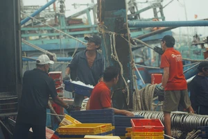 Clip: Cảng cá Quy Nhơn tất bật trước giờ bão số 9 đổ bộ