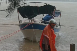 Bão số 13 đổ bộ vào Quảng Bình