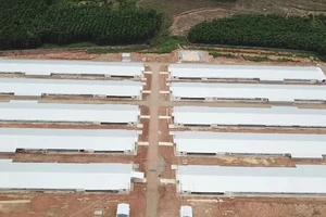 Video: Bên trong Bệnh viện dã chiến lớn nhất tỉnh Đồng Nai có gì đặc biệt? 