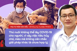 Vụ 14 chú chó, mèo ở Cà Mau: Giải mã khả năng vật nuôi lây bệnh cho người